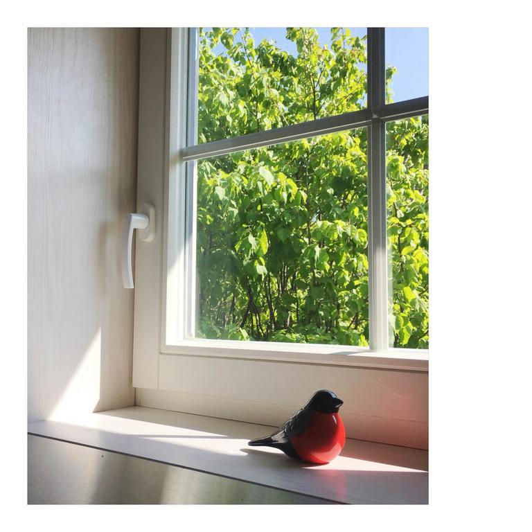 Cardinalis House Lägenhet Pāvilosta Exteriör bild